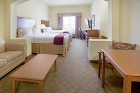 Holiday Inn Express Hotel & Suites Zapata