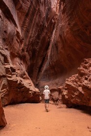 Yonder Escalante