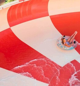 Zion Utah Jellystone Park