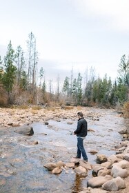 Bear River Lodge