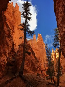 Red Ledges Inn