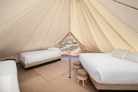 Zion Wildflower Resort