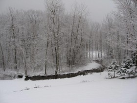 Toll Road Inn