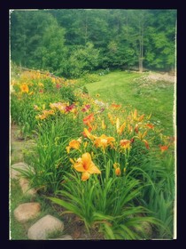 Toll Road Inn