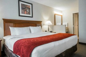 Comfort Suites