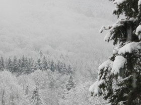 Deerhill Inn