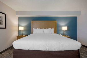 Comfort Inn & Suites Alexandria Van Dorn Street