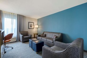 Comfort Inn & Suites Alexandria Van Dorn Street