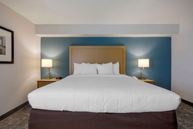 Comfort Inn & Suites Alexandria Van Dorn Street