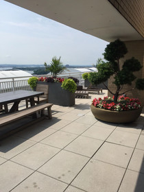 Concord Crystal City by Executive Apartments