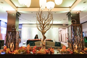 Hilton Garden Inn Shirlington