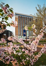 Holiday Inn Rosslyn @ Key Bridge