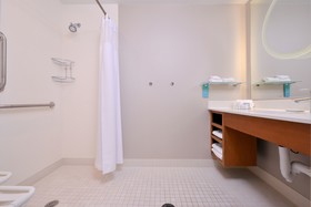 SpringHill Suites Ashburn Dulles North