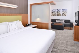 SpringHill Suites Ashburn Dulles North