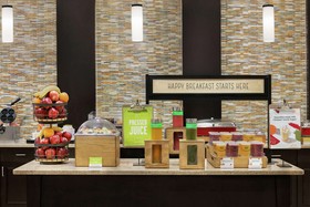 Hampton Inn Washington-Dulles Int'l Airport South