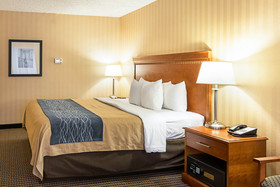 Comfort Inn Falls Church - Tysons Corner