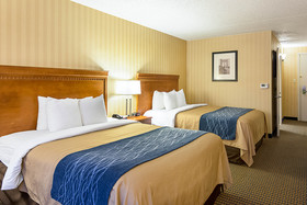 Comfort Inn Falls Church - Tysons Corner