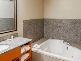 Comfort Suites at Virginia Center Commons