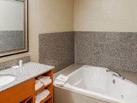 Comfort Suites at Virginia Center Commons