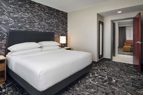 Embassy Suites Hampton Roads Spa & Convention