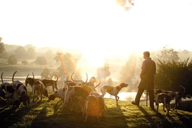 Keswick Hall & Golf Club