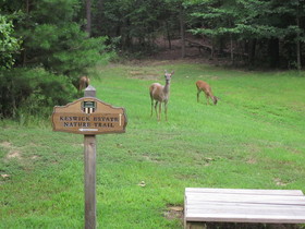 Keswick Hall & Golf Club