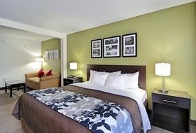 Sleep Inn & Suites Virginia Horse Center