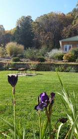 Stone Manor Vineyard & Orchard Bed & Breakfast