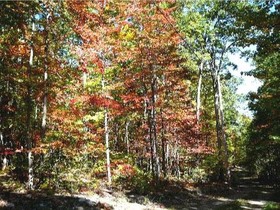Browns Log Cabin