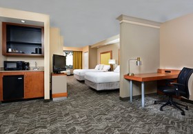 Springhill Suites Lynchburg