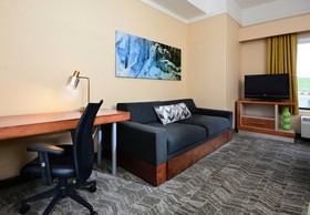Springhill Suites Lynchburg