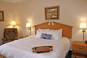 Hampton Inn Ft. Chiswell-Max Meadows