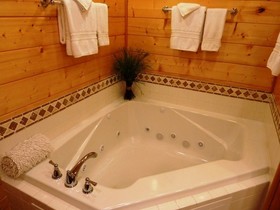 A Rustic River Cabin