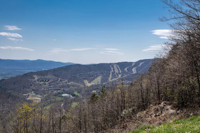 Massanutten's Shenandoah Villas by Tripforth