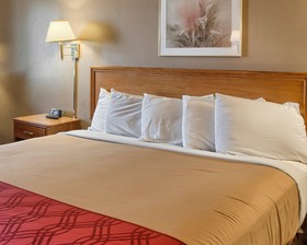 Rodeway Inn North Chesterfield-Richmond