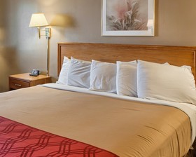 Rodeway Inn North Chesterfield-Richmond