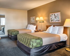 Rodeway Inn North Chesterfield-Richmond