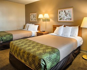 Rodeway Inn North Chesterfield-Richmond