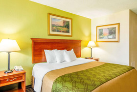 Rodeway Inn Central