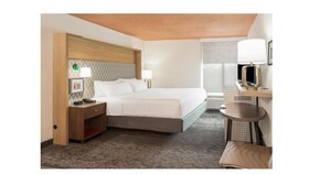 Holiday Inn Roanoke Airport-Conference CTR