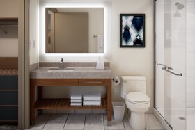 Holiday Inn Roanoke Airport-Conference CTR