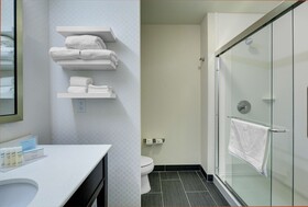 Hampton Inn and Suites Roanoke Downtown