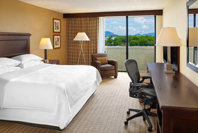 Blue Ridge Hotel and Conference Center