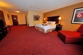 Hampton Inn Richmond - Airport
