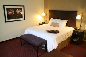 Hampton Inn Richmond - Airport