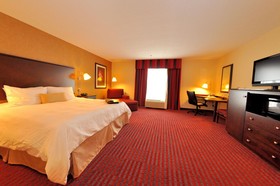 Hampton Inn Richmond - Airport