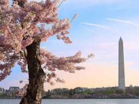 Hyatt Place Sterling/Dulles Airport-North