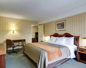 Quality Inn Tysons Corner