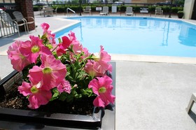 Best Western Center Inn