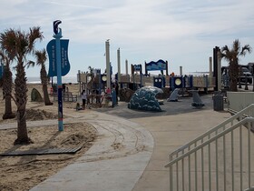 Dolphin Run